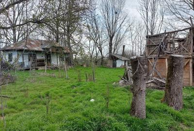 Teren de 2137 mp, în Șerbănești (Rociu) - 8