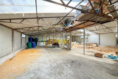 De vanzare ferma Calarasi in stare de conservare - sere - livada - 13