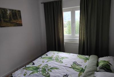 Apartament cu 4 camere decomandat în Noua - 5