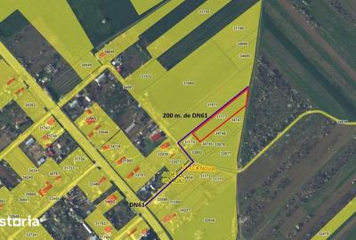 Teren de 40000 mp, în Letca Nouă - 5
