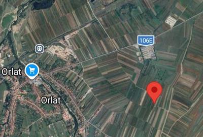 Spațiu comercial, în Orlat - 2