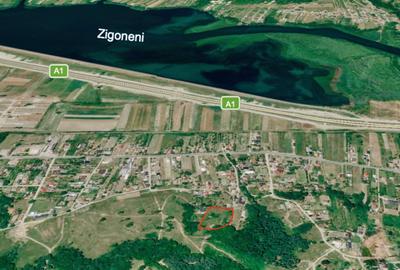 Teren Construcții intravilan de 2500 mp, în Zigoneni - 6