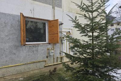 Apartament cu 2 camere decomandat în Valea Azugii - 7