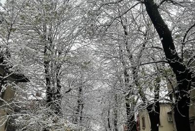 Apartament cu 3 camere decomandat, mobilat în Calea Călărașilor - 5