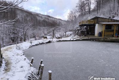 Casa de vacanta, cu lac, 5640 mp teren, Huta, com. Chiuiesti, jud. Cluj - 38