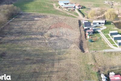 Teren de 7000 mp, în Laslea - 11