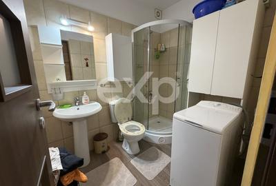 Apartament cu 3 camere, mobilat în 1 Decembrie 1918 - 10