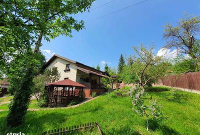 Casă cu 6 camere cu Teren 2700 Mp în Golești - 15