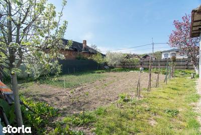 Casă cu 3 camere cu Teren 948 Mp în Bradu - 3