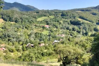 Teren de 70290 mp, în Poiana Ampoiului - 3