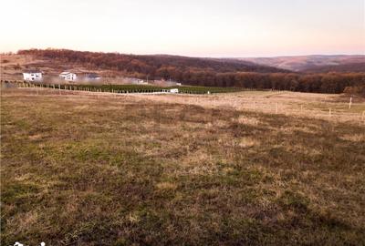 Teren de 805 mp, în Podgoria - 2