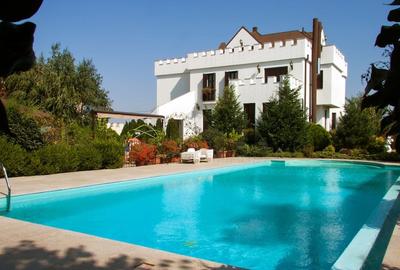 REV2000904 Vila spectaculoasa - zona Cernica - 1