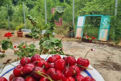 Casa cu teren 1500 mp Olimp Neptun Mangalia - 3