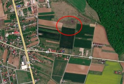 REL4000893 Teren Ciolpani langa padure si DN1 REL4000893 Teren Ciolpani langa padure si DN1 - 1