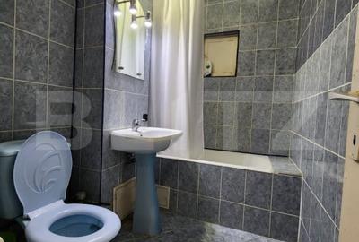 Apartament de inchiriat, 2 camere, Brazda lui Novac - 7