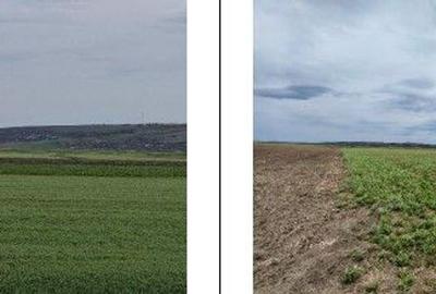 Teren Andrieseni, cota parte 1/20, ID: R2603082 - 14