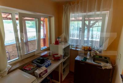 Casă cu 3 camere cu Teren 4000 Mp în Rovina (Brănișca) - 13