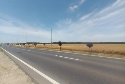 Teren Construcții intravilan de 21500 mp, în Brănești - 26