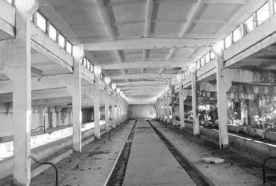 Vand teren cu hala construita pe el - 3