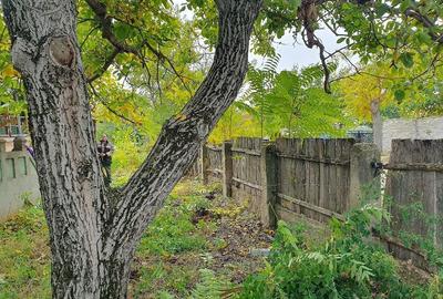 Casă cu 3 camere cu Teren 660 Mp în Bratovoești - 5