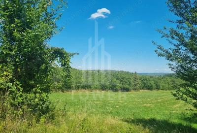 EXCLUSIVITATE! Teren la ?oseaua principala | Tocile - 2