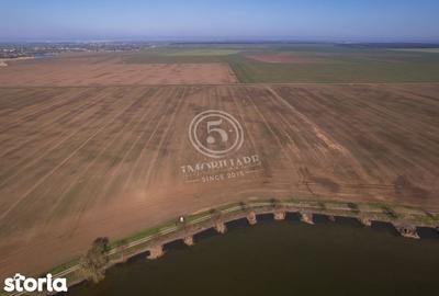 Teren de 17500 mp, în Vasilați - 8