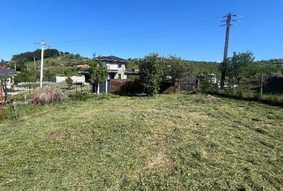 Teren Construcții intravilan de 400 mp, în Zăvoi - 5