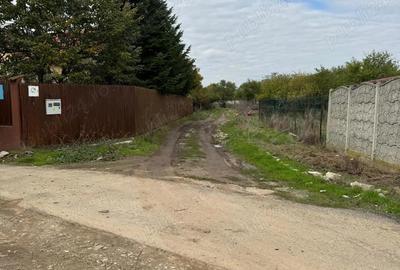 Teren de 560 mp, în Frumușani - 3