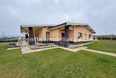 Casa 4 camere pe un singur nivel si teren 1586mp in Satul Cristur (sat apartinator Orasului Deva). - 6