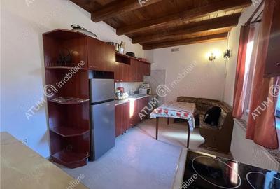 Spațiu comercial, în Paltin - 14