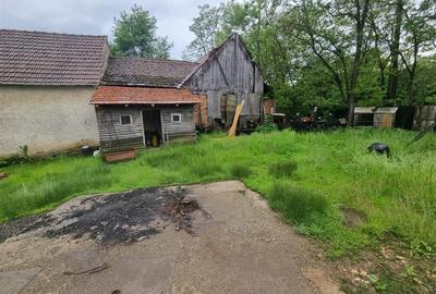 Casa de renovat  in Sinca Noua - 11