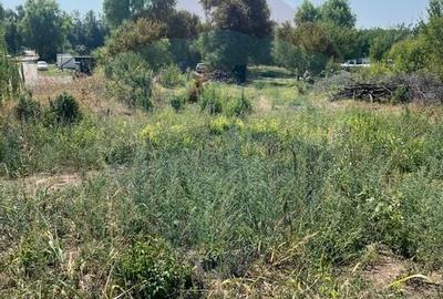 Teren de vanzare / 2,500 mp pe Malul Lacului Tancabesti /Ilfov - 8