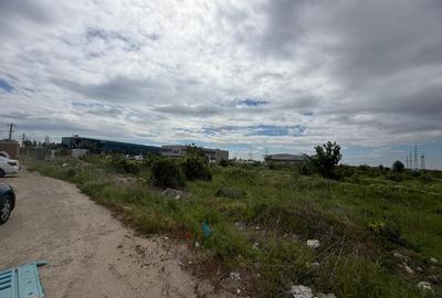 Teren Construcții intravilan de 9000 mp, în Manolache - 3