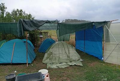 Casă cu 5 camere cu Teren 1400 Mp în Bonț - 4