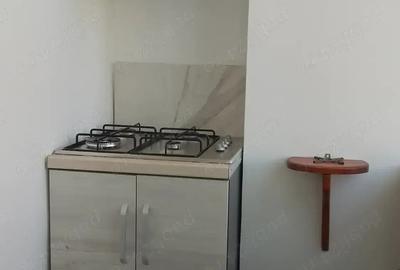 Apartament 2 camere de inchiriat - zona Popa Sapca Pitesti - (zona Spa VICTORIA) - 8