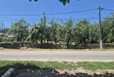Teren de 2295 mp, în Bogați - 4