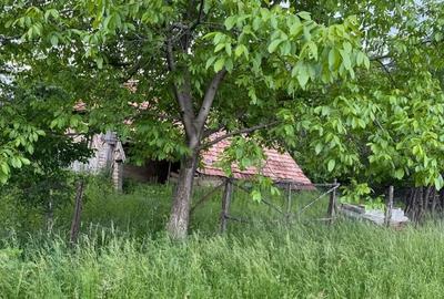 Teren de 4000 mp, în Ștubeiu - 9