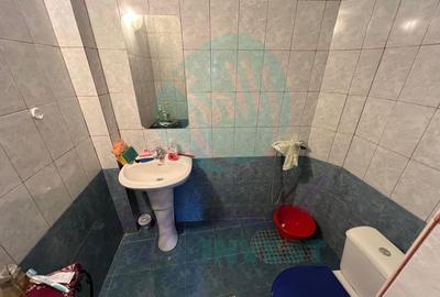 Apartament 2 camere la curte-Parc Carol-Viilor Apartament 2 camere la curte-Parc Carol-Viilor - 8