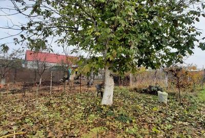 Casă individuală cu 4 camere cu Teren 1370 Mp în Plopi