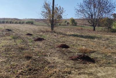 Teren de 3200 mp, în Schineni (Sascut) - 1