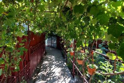 Casă cu 3 camere cu Teren 350 Mp în Mangalia - 3