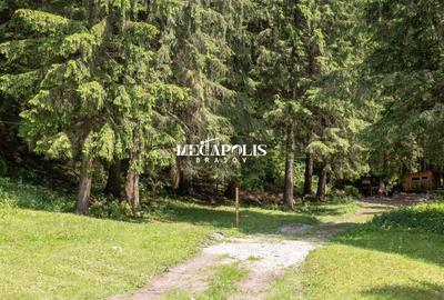 Pretabil Hotel,Pensiune,Case de Vacanta/Utilitati/PUZ - 22