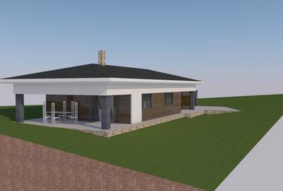 Vand casa in Salistea Noua - 11