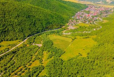 Teren 128.000 mp-Sacele-zona Garcini/ Intravilan - 1