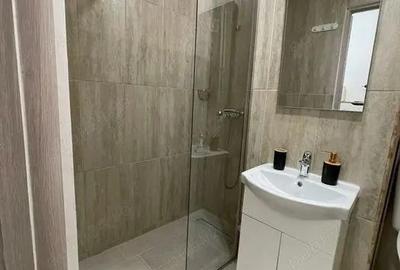 Garsoniera iancului-modern-metrou 5 minute - 1