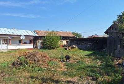 Teren de 4217 mp, în Valea Fetei - 6