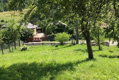 Teren de 1000 mp, în Băbana - 4