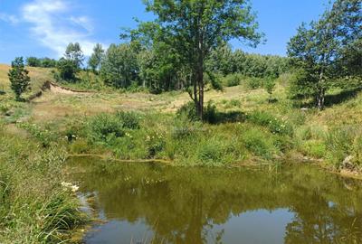 Teren de 4500 mp, în Brebu - 8