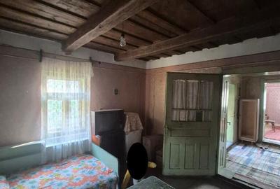 Bargau, casa 30 ari teren - 4