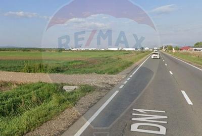 Teren intravilan de vanzare 3.675 mp - Sabolciu,  direct la DN1/E60, - 4